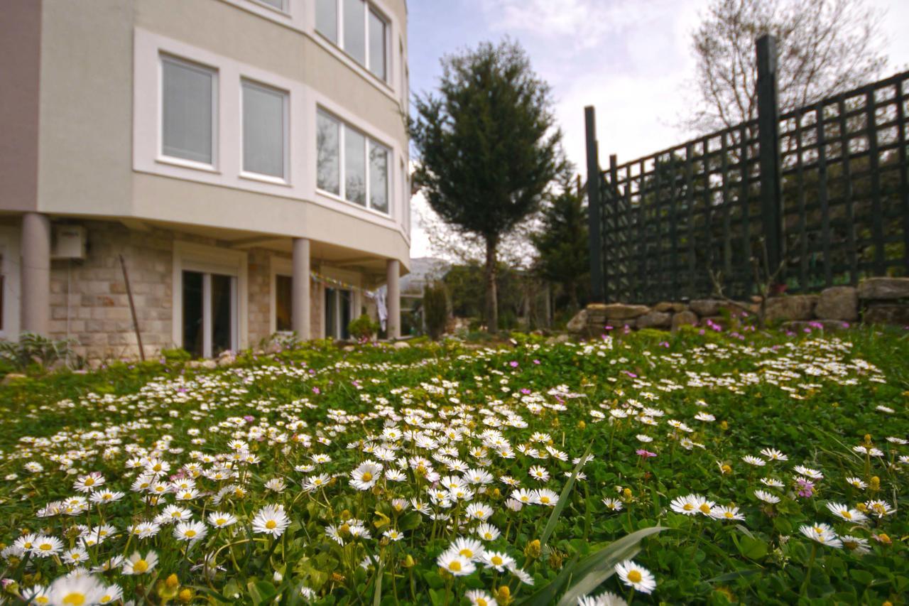 Mirta Apartments Family Farm Budva Kültér fotó