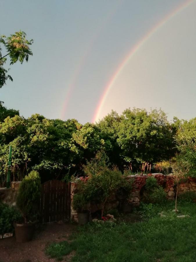 Mirta Apartments Family Farm Budva Kültér fotó