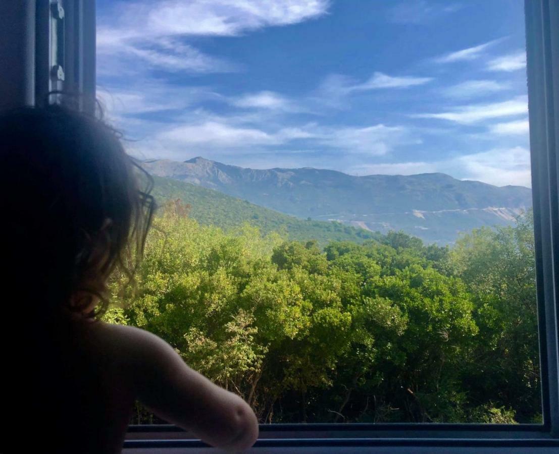 Mirta Apartments Family Farm Budva Kültér fotó